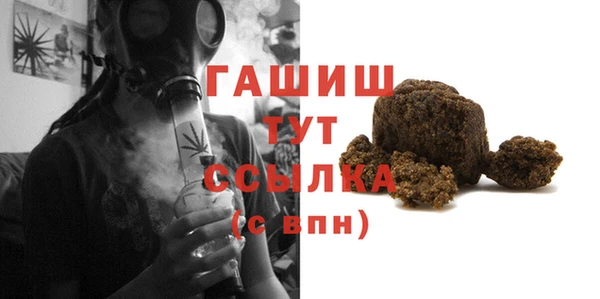 твердый Бердск