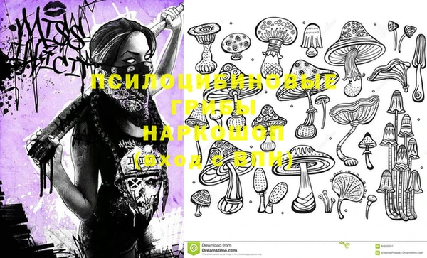 мяу мяу мука Михайловск
