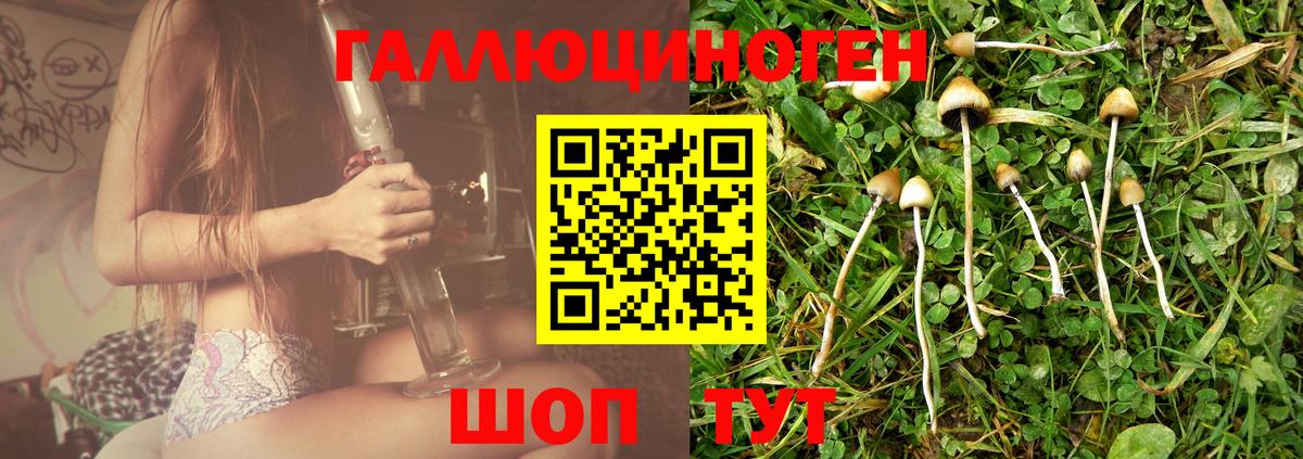 Сургут  Псилоцибиновые грибы мицелий  Вход с VPN 
